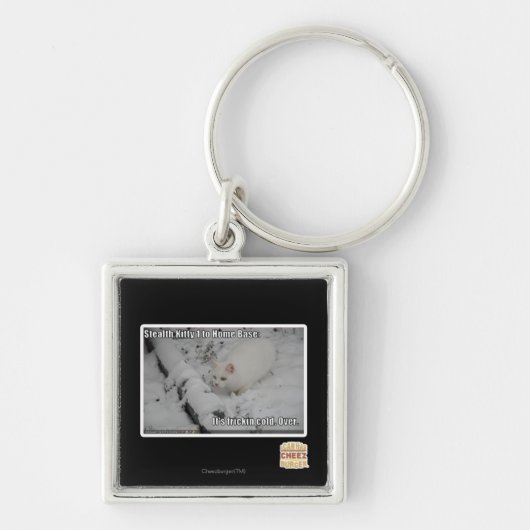 Stealth Kat 1 Sleutelhanger (Voorkant)