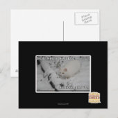 Stealth Kitty 1 Briefkaart (Voorkant / Achterkant)