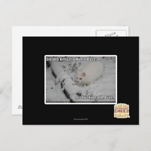 Stealth Kitty 1 Briefkaart (Voorkant / Achterkant)