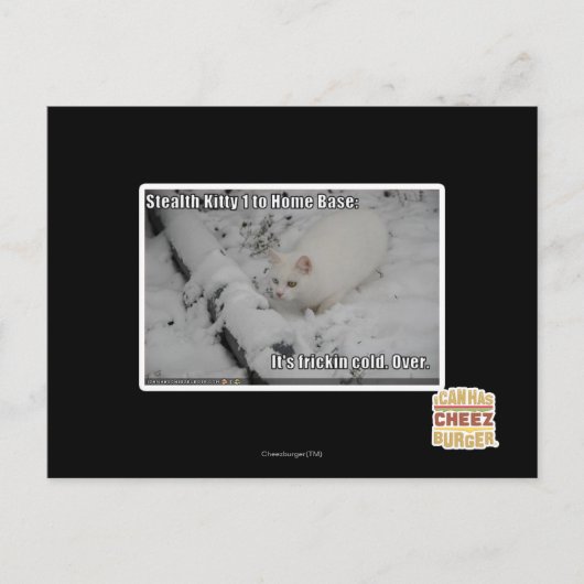 Stealth Kitty 1 Briefkaart (Voorkant)