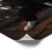 "Stealth Mode" Poster (Hoek)