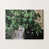 Stealth Mode Puzzel, 28 x 35 cm, 252 stukken Legpuzzel (Horizontaal)