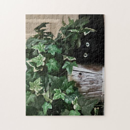 Stealth Mode Puzzel, 28 x 35 cm, 252 stukken Legpuzzel (Verticaal)