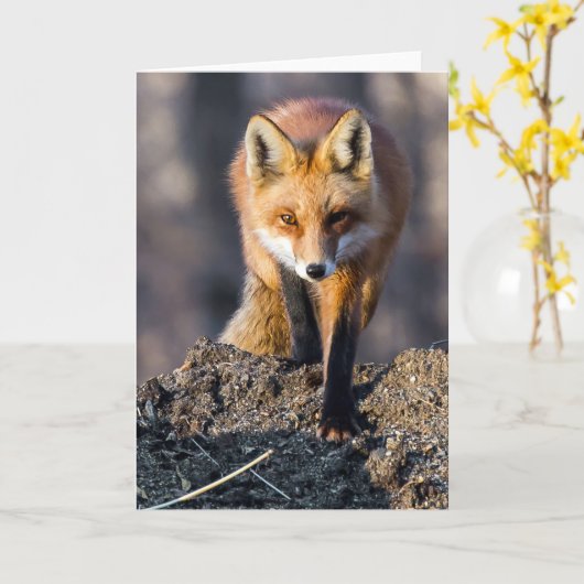 Stealthy Fox Kaart (Gele Bloem)