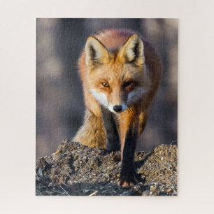 Stealthy Fox Legpuzzel