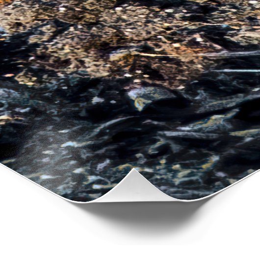 Stealthy Fox Perfect Poster (Hoek)