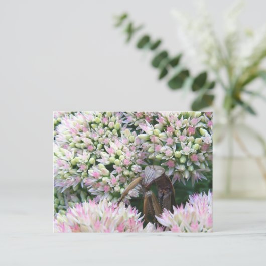 Stealthy Mantis ~ briefkaart (Staand voorkant)