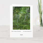"Stealthy Trees" — Digitaal omgevormd bos Kaart (Achterkant)