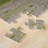 Steam carriage accommodation, Arizona Legpuzzel (Zijkant)