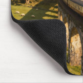 Steam Locomotive on Viaduct Muismat (Hoek)