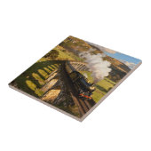 Steam Locomotive on Viaduct Tegeltje (Zijkant)