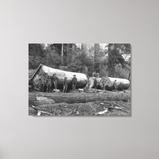 Steam Logging in de Cascades van Washington Stat Canvas Afdruk (Voorkant)