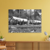 Steam Logging in de Cascades van Washington Stat Canvas Afdruk (Insitu (Woonkamer))