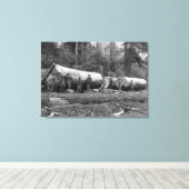 Steam Logging in de Cascades van Washington Stat Canvas Afdruk (Insitu (Houten vloer))