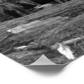 Steam Logging in de Cascades van Washington Stat Poster (Hoek)