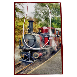 STEAM TRAIN MEDIUM CADEAUZAKJE