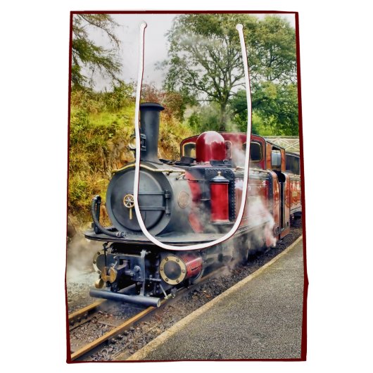 STEAM TRAIN MEDIUM CADEAUZAKJE (Achterkant)