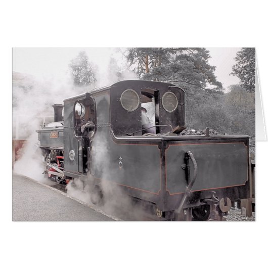 STEAM TRAINS (Voorkant Horizontaal)
