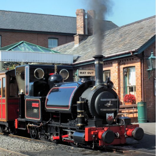 STEAM TRAINS BAGAGELABEL