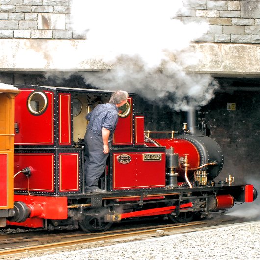 STEAM TRAINS BUTTON FLESOPENER