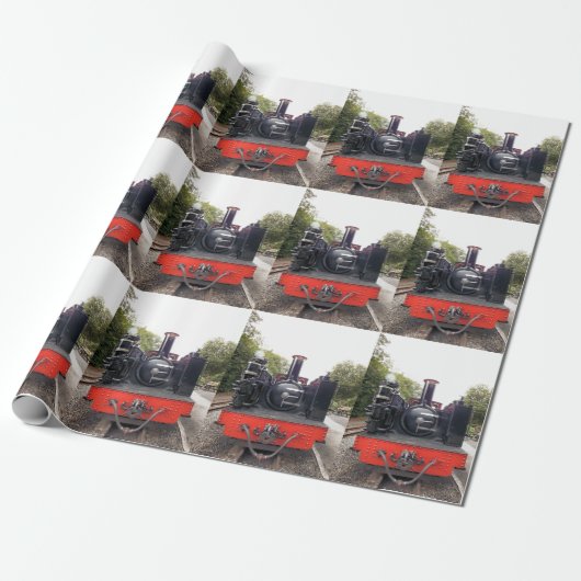STEAM TRAINS CADEAUPAPIER (Uitgerold)