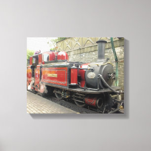 STEAM TRAINS CANVAS AFDRUK
