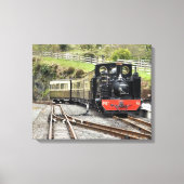 STEAM TRAINS CANVAS AFDRUK (Voorkant)