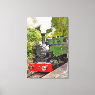STEAM TRAINS CANVAS AFDRUK