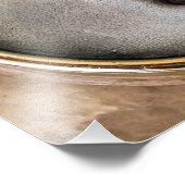 STEAM TRAINS FOTO AFDRUK (Hoek)