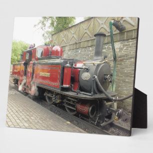 STEAM TRAINS FOTOPLAAT