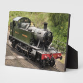 STEAM TRAINS FOTOPLAAT (Zijkant)