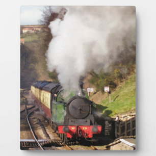 STEAM TRAINS FOTOPLAAT