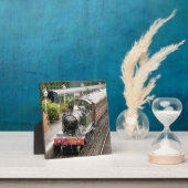 STEAM TRAINS FOTOPLAAT (Insitu)