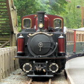 STEAM TRAINS GOLFHANDDOEK