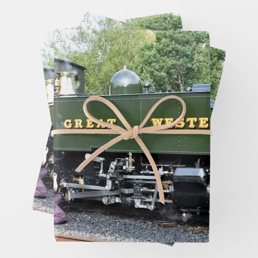 STEAM TRAINS INPAKPAPIER VEL (In situ)