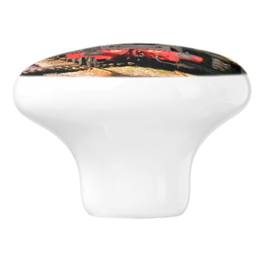 STEAM TRAINS KERAMISCHE KNOP (Zijkant)