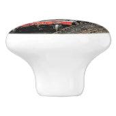 STEAM TRAINS KERAMISCHE KNOP (Zijkant)