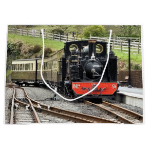 STEAM TRAINS LARGE CADEAUTASJE