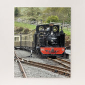 STEAM TRAINS LEGPUZZEL (Verticaal)