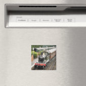 STEAM TRAINS MAGNEET (Insitu (Vaatwasser))