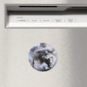 STEAM TRAINS MAGNEET (Insitu (Vaatwasser))