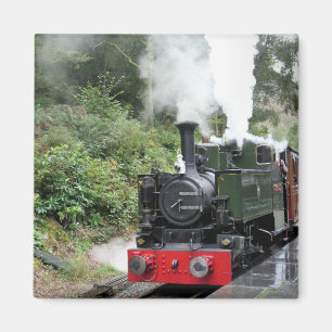 STEAM TRAINS MAGNEET