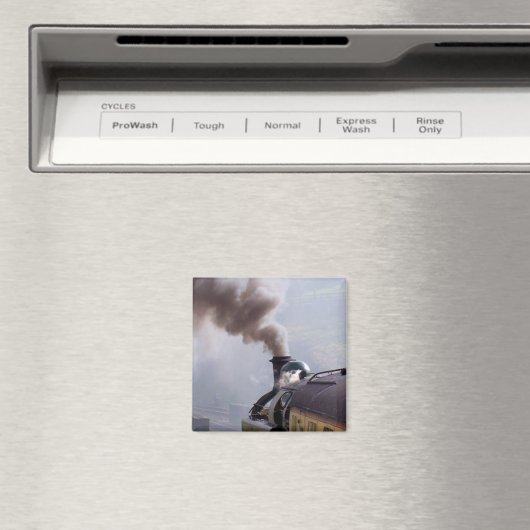 STEAM TRAINS MAGNEET (Insitu (Vaatwasser))