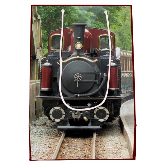 STEAM TRAINS MEDIUM CADEAUZAKJE (Achterkant)