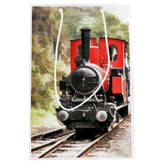 STEAM TRAINS MEDIUM CADEAUZAKJE (Voorkant)