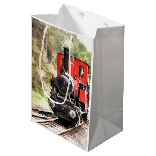 STEAM TRAINS MEDIUM CADEAUZAKJE (Voorkant Gekanteld)