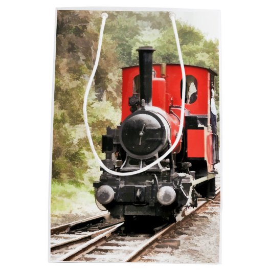 STEAM TRAINS MEDIUM CADEAUZAKJE (Achterkant)
