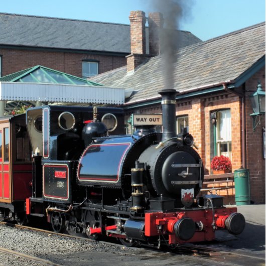 STEAM TRAINS MINI KLEMBORD