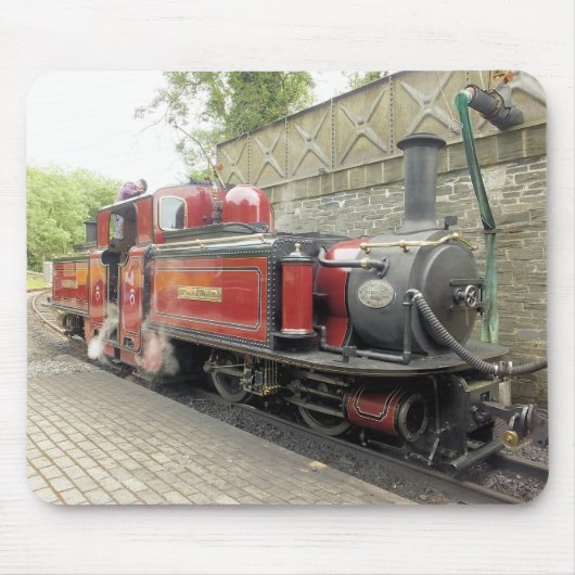 STEAM TRAINS MUISMAT (Voorkant)