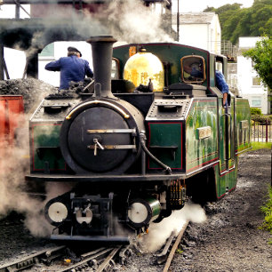 STEAM TRAINS MUISMAT